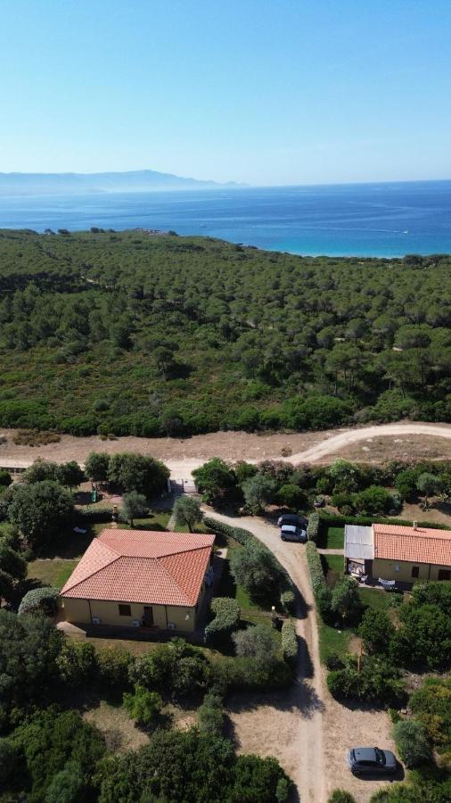 Rosanna House In Bombarde Beach Alghero Exterior foto